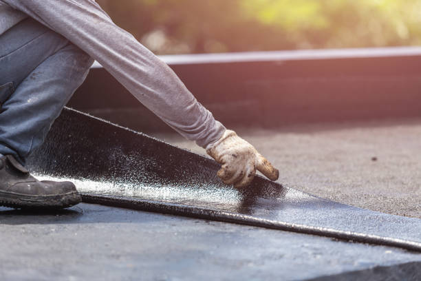 Professional Interior Drainage System technician working in Wolflake, IN